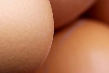 close-up organic and fresh eggs