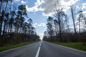 Droga przez las - Dolnyślask Park krajobrazowy - Polska