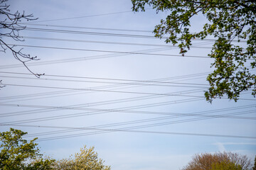several cables from a high-voltage power line, framed by trees