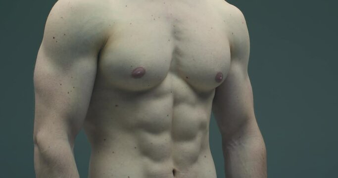 Close up 4K video of male athlete with pumped up torso muscles. Athlete guy with trained abs and chest