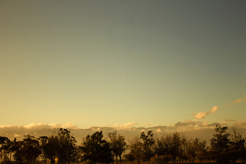  Sunset.Sunset in the forest.Sunset in the forest with some clouds in the sky.Dusk.Forest full of trees during the sunset.Clouds in the sky during the sunset.Forests.Clouds