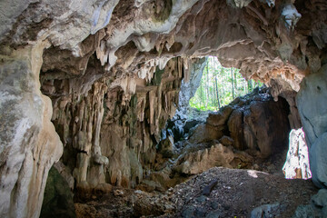 Fototapeta na wymiar Giant Beautiful Cavern of a Cave with Tropical Forest at Entrance in Background - Northern Luzon, Philippines, Southeast Asia 