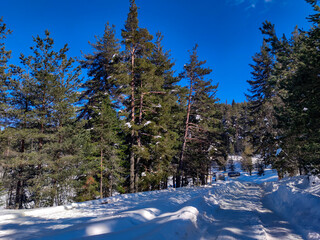 Winter view of Byala Cherkva region at Rhodopes Mountain, Bulgaria