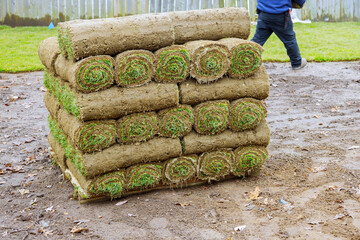 New lawn rolls of fresh grass turf ready to be used for gardening