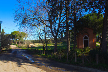old house in the park