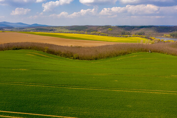 Green fields with blue sky, spring and summer colors