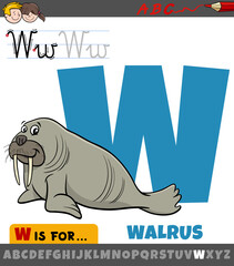 letter W from alphabet with cartoon walrus animal character