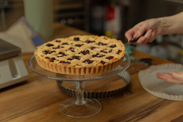female hand spreads the cake on a stand with a pastry spatula