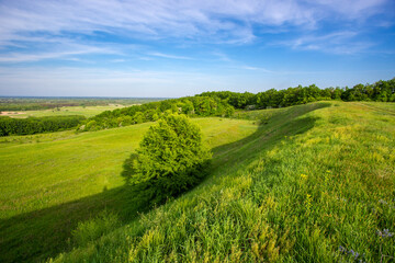 Green grassland on hill slope
