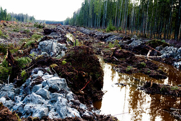 double drainage ditch