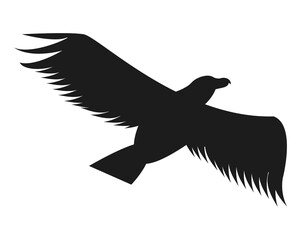 eagle flying silhouette