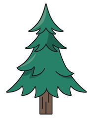 Fototapeta premium pine tree plant