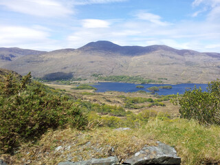 Fototapeta premium Beautiful hills in Ireland covered with mchemes and peat 