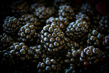 Blackberries. Ripe blackberries. One blackberry in focus. Blackberry background.