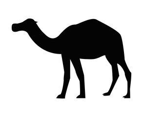 black camel silhouette