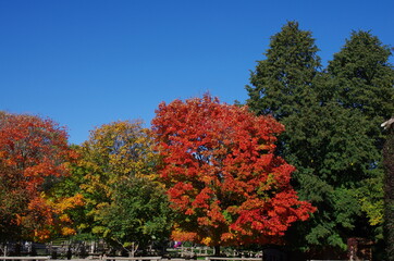 Autumn landscape 1