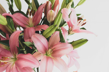 Close up of pink asiatic lilies with matte filter effect (selective focus)