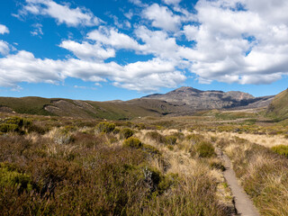 Fototapeta na wymiar Tongariro National Park New Zealand