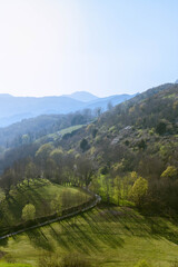 Fototapeta na wymiar Breathtaking view of mountains in basque countries covered with young spring grass