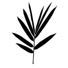 Leaves in black and white