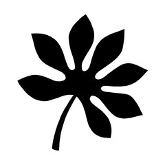 Leaves in black and white