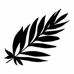 Leaves in black and white