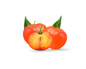 Fresh cherries on a white background
