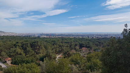 Fototapeta na wymiar panoramic view of the forest and the city beyond