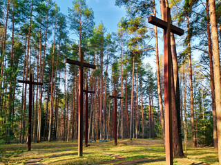 High crosses among the trees at Polish military cemetery. Memorial to the Second World War.
