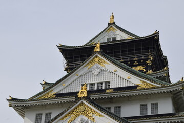 Fototapeta premium 大阪城天守閣