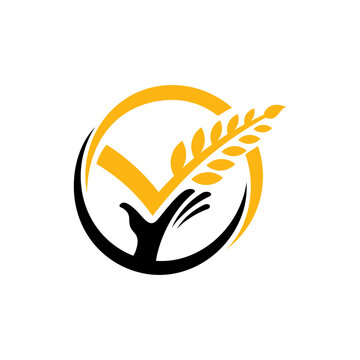 Best choice grain logo template suitable for healthy food icon, rice label, foodstuffs, bread bakery, organic product, agriculture and others