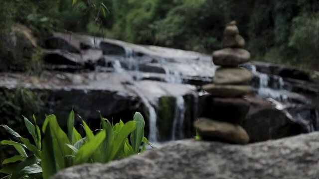 Close Up / Beautiful Forest River In Summer Time / Sound for Meditation (Brazil)