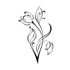 ornament 1735. one stylized flower Bud on a curved stem with leaves and curls in black lines on a white background