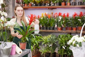 Woman florist working in floral shop, watering flowers in pots with spray bottle. High quality photo
