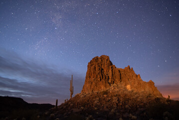 Sonoran Desert Under a Starry Sky