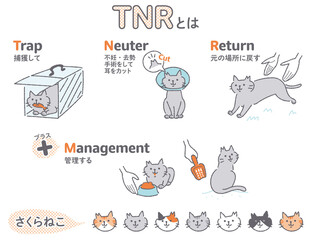 TNR活動　地域猫　イラストセット