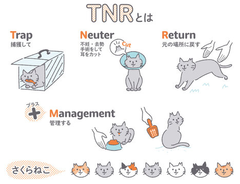 TNR活動　地域猫　イラストセット