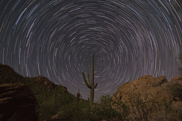 Sonoran Desert Star Trails