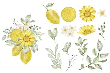 set of spring lemon flower and leaf isolated clip-art