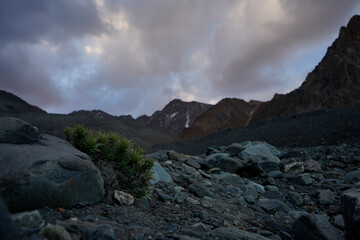 beautiful mountain scenery