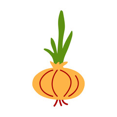 Onion. Vegetable. Vector simple color drawing on isolated white background. The yellow-green illustration will become an element of the summer autumn decor, a print, a sticker.