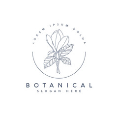 Hand drawn botanical floral logo template