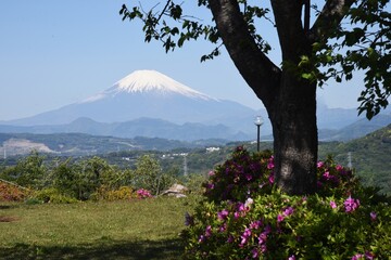 Mt. Fuji in late spring covered with snow.