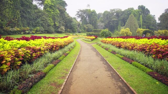 Beautiful area of Royal Botanic Gardens, Peradeniya. Sri Lanka