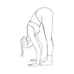 Stretching yogi woman. Hatha yoga forward fold pose. Engraved vector illustration in white background
