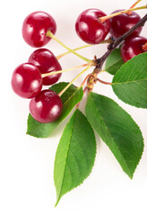 Ripe fresh red cherry isolated on white background.
