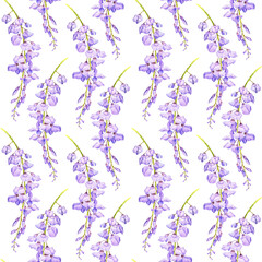 watercolor seamless pattern with drawing flowers of wisteria