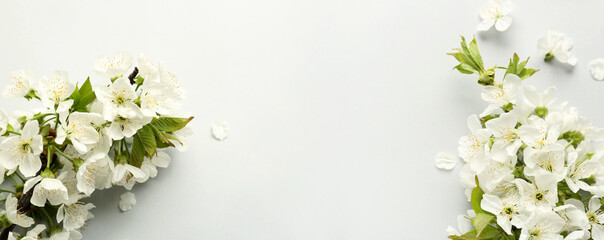 Beautiful blossoming branches on light background with space for text