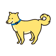 シンプルでかわいい柴犬