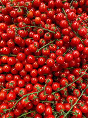 Fresh cherry tomatoes on shelf. View from above